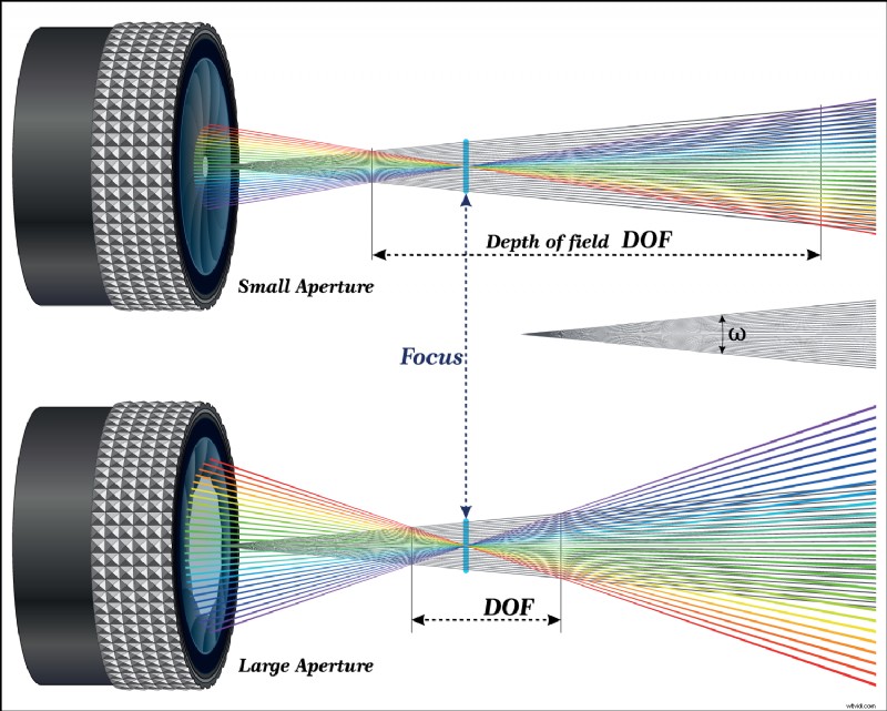 Best Focal Lengths for Filming Interviews: Pro Guide for Every Setup