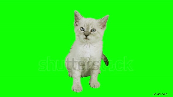 After Effects Green Screen Tutorial: Master Keylight Keying for UFO Abduction Scenes