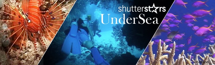 Shutterstars Spotlight: Undersea – Australia s Marine Footage Powerhouse