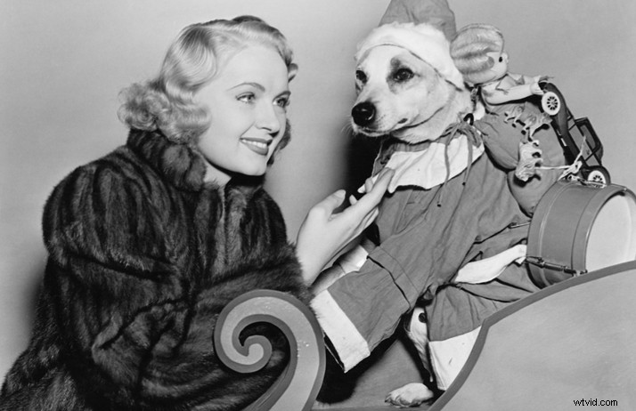 5 Expert Tips to Avoid Holiday Home Video Disasters