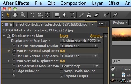 Bring Still Images to Life: Animate Photos in After Effects Tutorial | Shutterstock