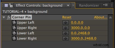 Bring Still Images to Life: Animate Photos in After Effects Tutorial | Shutterstock