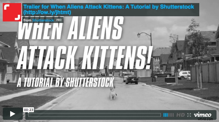 Bring Still Images to Life: Animate Photos in After Effects Tutorial | Shutterstock
