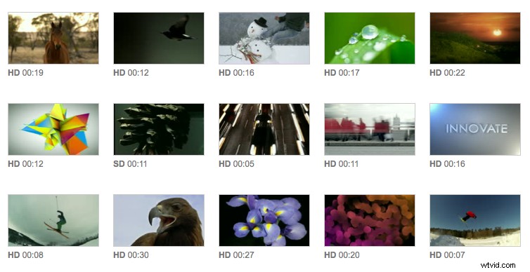 Shutterstock Footage Staff Picks: Expert-Curated Video Highlights