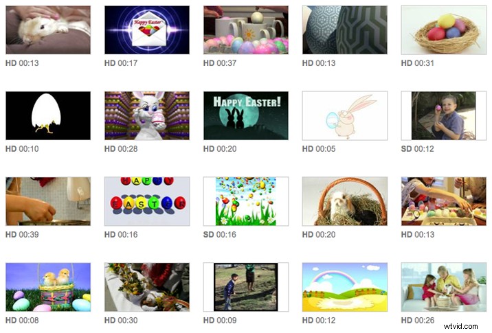 Celebrate Easter with Adorable Bunny and Egg Stock Footage from Shutterstock