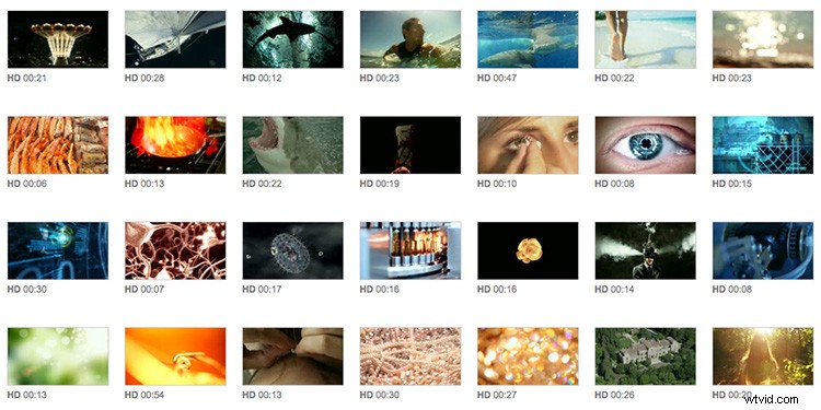 Discover Panem s 12 Deadly Districts: An Immersive Journey into The Hunger Games Universe