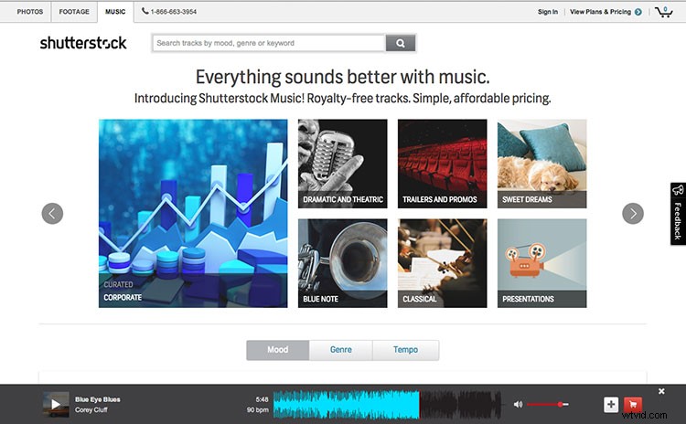 Introducing Shutterstock Music: Premium Royalty-Free Tracks for Video Creators