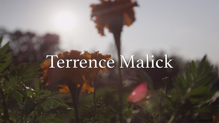 Directors  Signature Visual Styles: Stock Footage Tribute to Tarantino, Wes Anderson & Icons