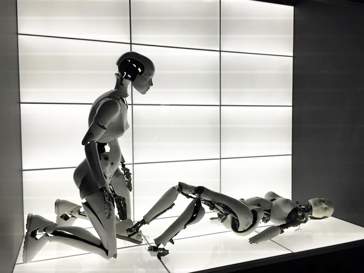 Björk s MoMA Retrospective: Music Enters the World of Modern Art