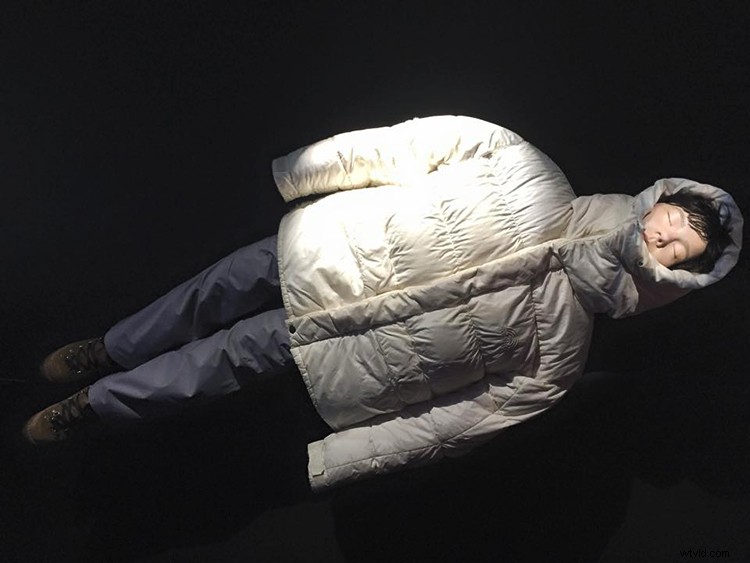 Björk s MoMA Retrospective: Music Enters the World of Modern Art