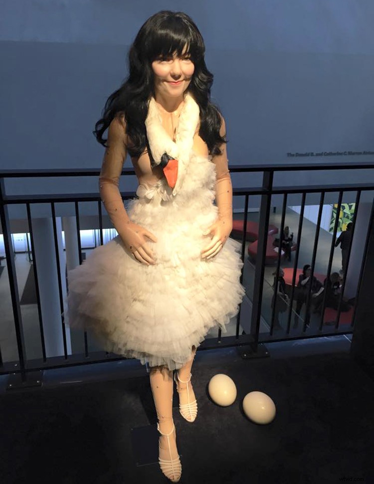 Björk s MoMA Retrospective: Music Enters the World of Modern Art