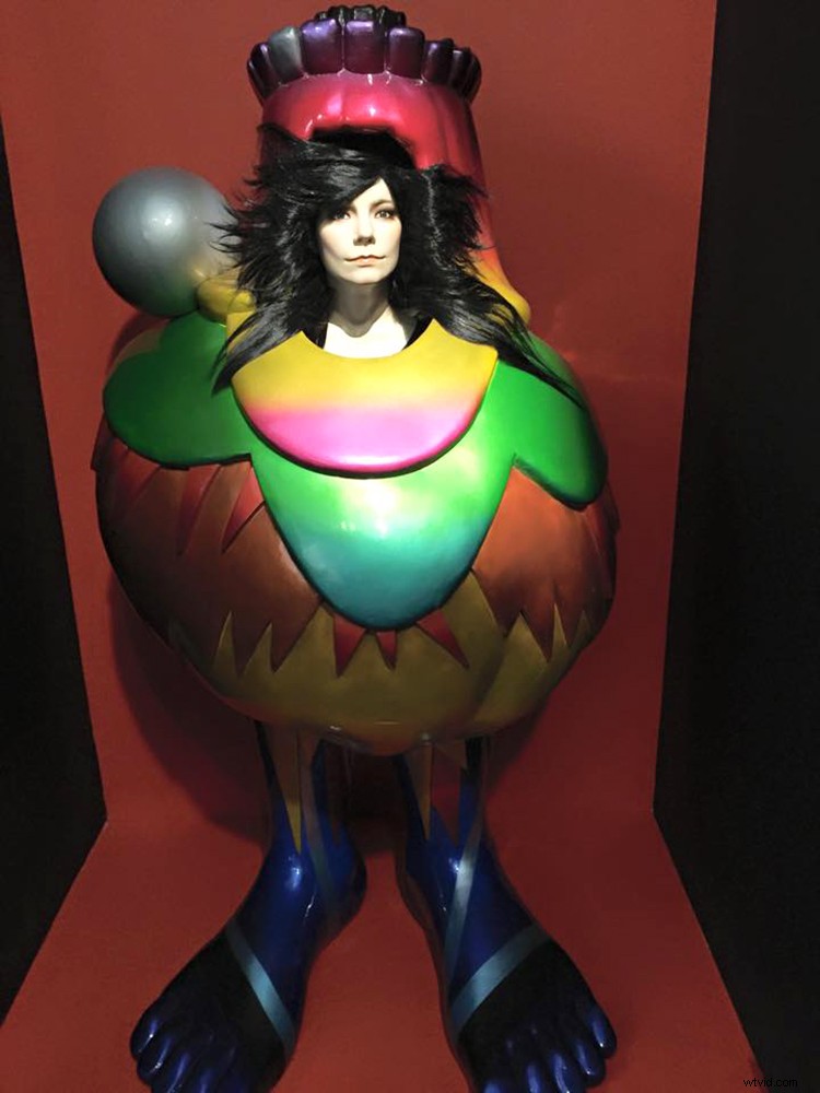 Björk s MoMA Retrospective: Music Enters the World of Modern Art