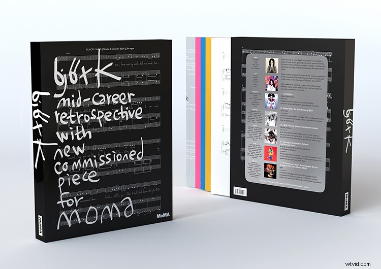 Björk s MoMA Retrospective: Music Enters the World of Modern Art