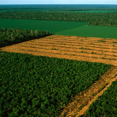 Breathtaking Aerial Video Tour: Discover the World from Above