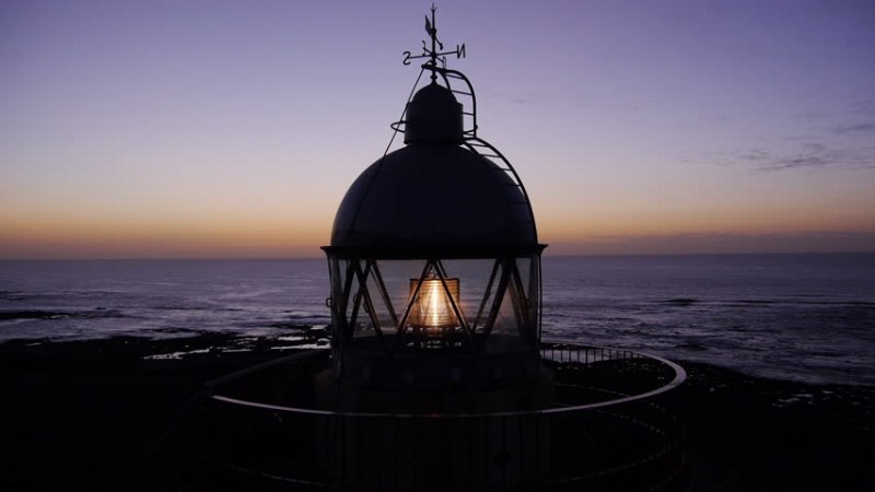 Offbeat Holidays Stock Footage: Quirky Celebrations & Engaging Video Clips