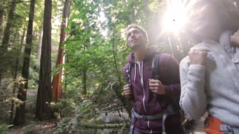 Offbeat Holidays Stock Footage: Quirky Celebrations & Engaging Video Clips