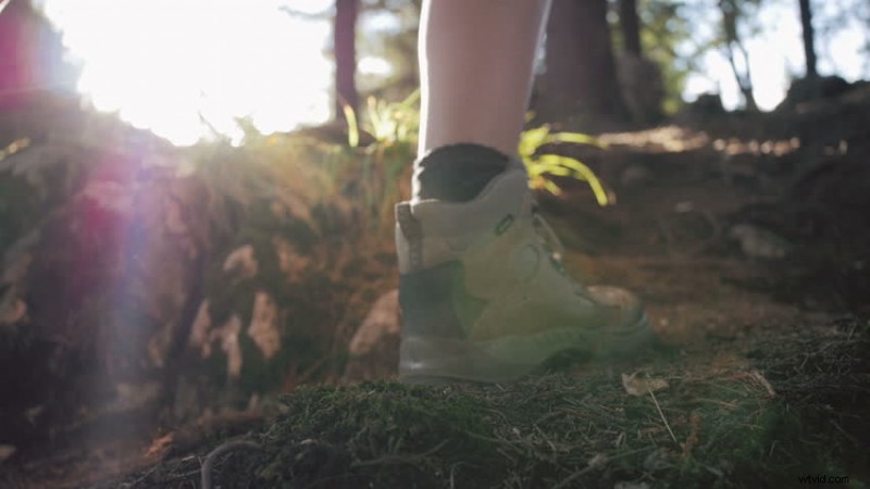 Offbeat Holidays Stock Footage: Quirky Celebrations & Engaging Video Clips