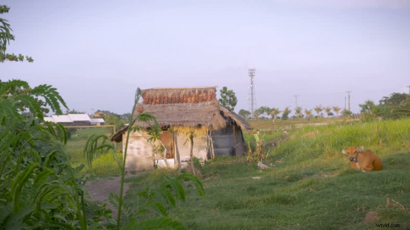 Essential Establishing Shots: Perfectly Set the Scene for Your Film