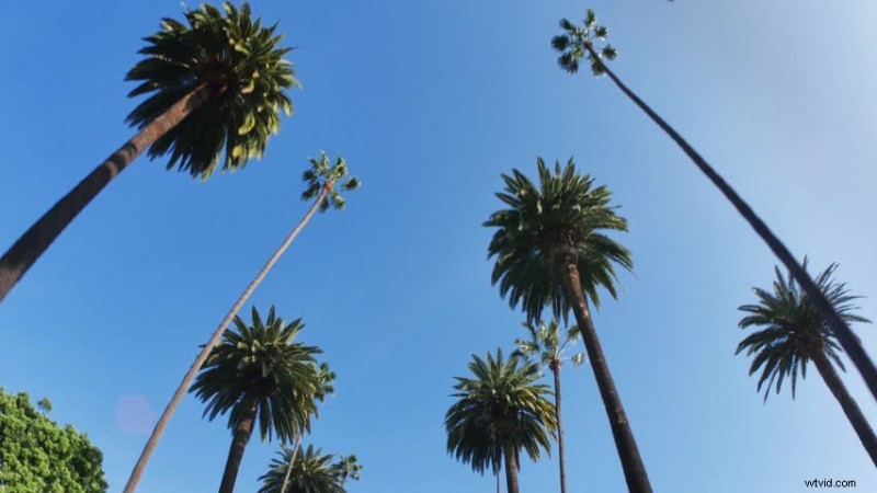 Essential Establishing Shots: Perfectly Set the Scene for Your Film