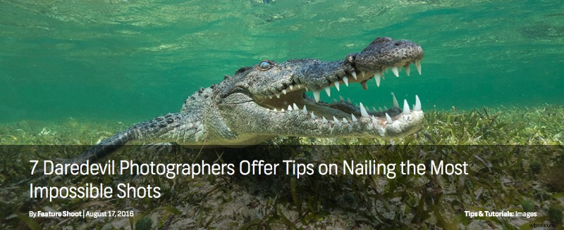 Shutterstock s Top Blog Articles of 2016: Must-Read Highlights