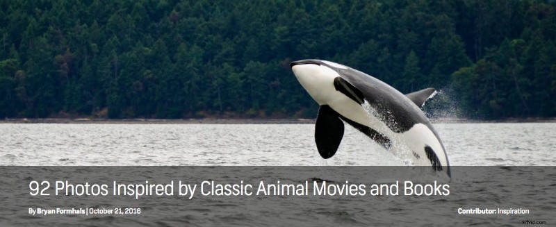 Shutterstock s Top Blog Articles of 2016: Must-Read Highlights