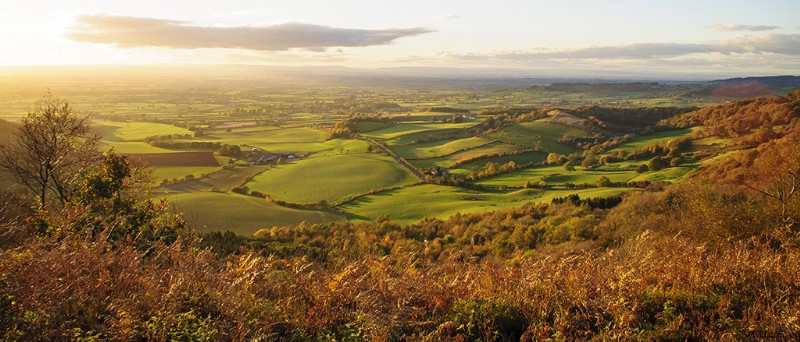 Top Film Festivals for Documentaries: Must-Attend Global Events for Indie Filmmakers