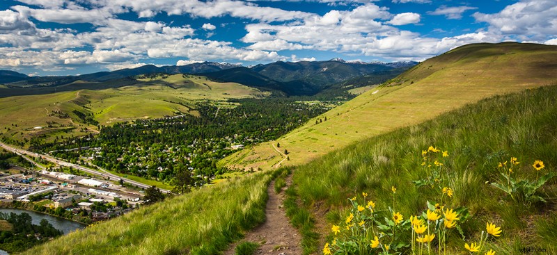 Top Film Festivals for Documentaries: Must-Attend Global Events for Indie Filmmakers