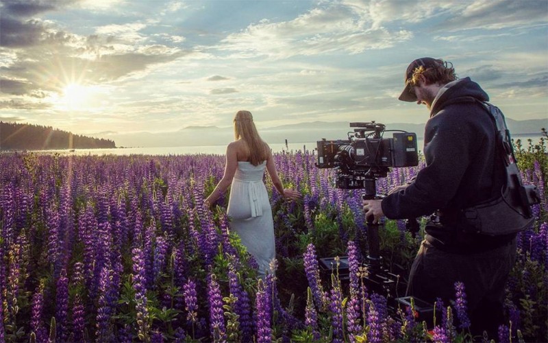 Awaken: Terrence Malick-Produced Time-Lapse Masterpiece Redefines Nature Documentaries