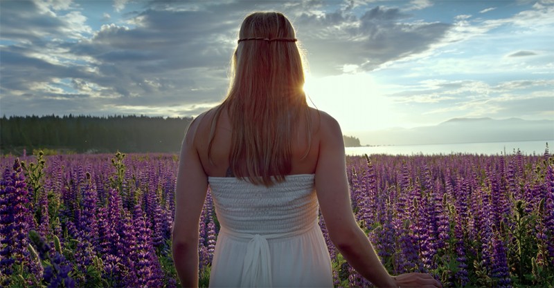 Awaken: Terrence Malick-Produced Time-Lapse Masterpiece Redefines Nature Documentaries