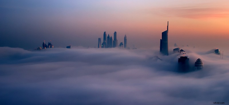 Awaken: Terrence Malick-Produced Time-Lapse Masterpiece Redefines Nature Documentaries