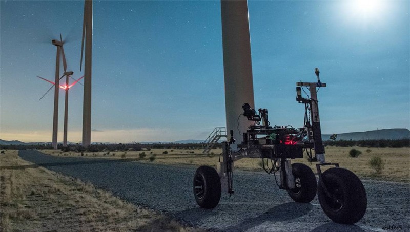 Awaken: Terrence Malick-Produced Time-Lapse Masterpiece Redefines Nature Documentaries