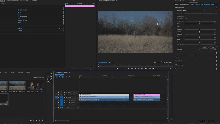 Color Grading 101: LUTs Explained and How to Apply Them for Stunning Results