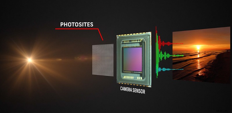 Mastering ISO for Perfect Image Exposure: Essential Photography Guide
