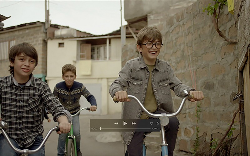 Master Video Exporting for Web & Social Media: Premiere Pro & Final Cut Pro Guide