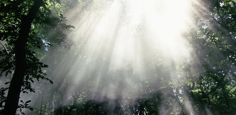 Create Cinematic Fog & Haze Instantly: DIY Guide for Outdoor Shots