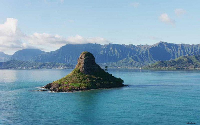 Shutterstock Select: Premium Royalty-Free Footage by Industry Pros on High-End Gear