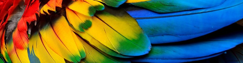 Top 10 Video Marketing Trends for 2019: Stay Ahead of the Curve