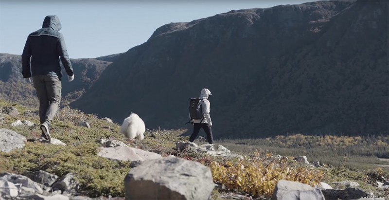 Master Frame Rates: Essential Guide to Optimal Video Recording and Slow-Motion Effects