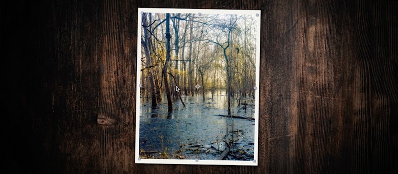 Master After Effects: 10 Essential Tips & Tricks for Every Project