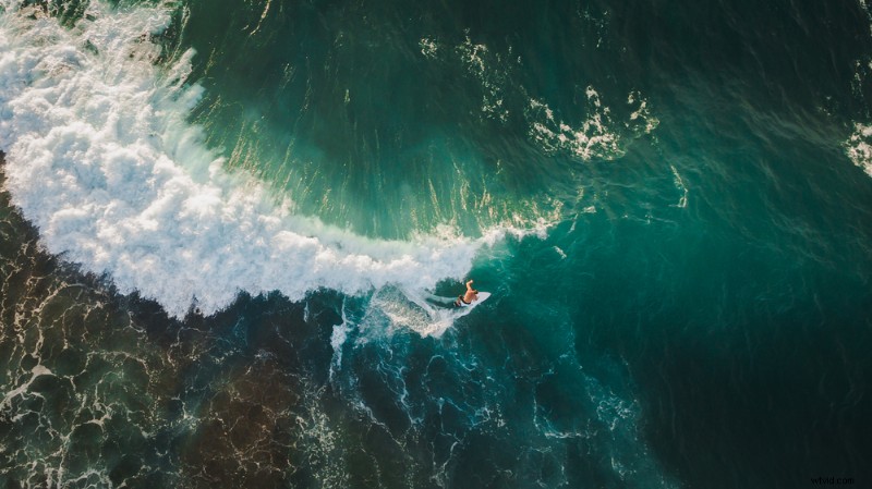 Shutterstock Select Unveiled: Premium Royalty-Free Footage by Top Industry Pros