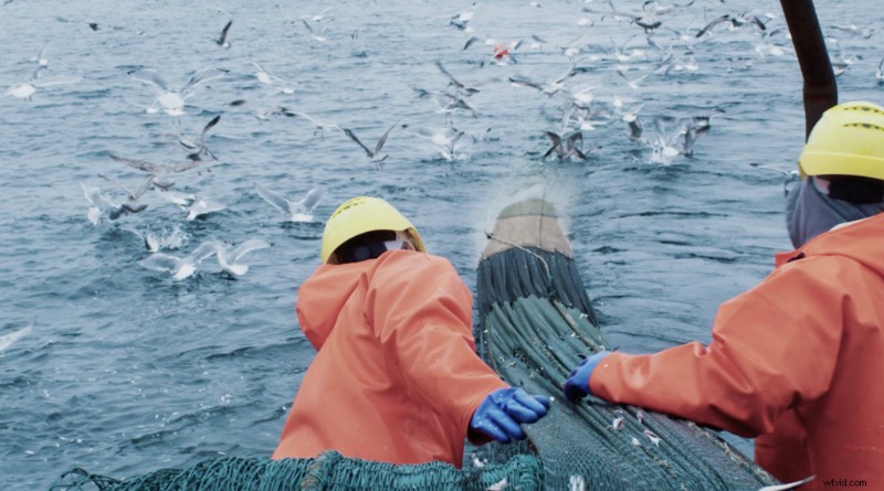 Why Shoot Stock Footage Now: Boost Your Shutterstock Portfolio and Earnings Today