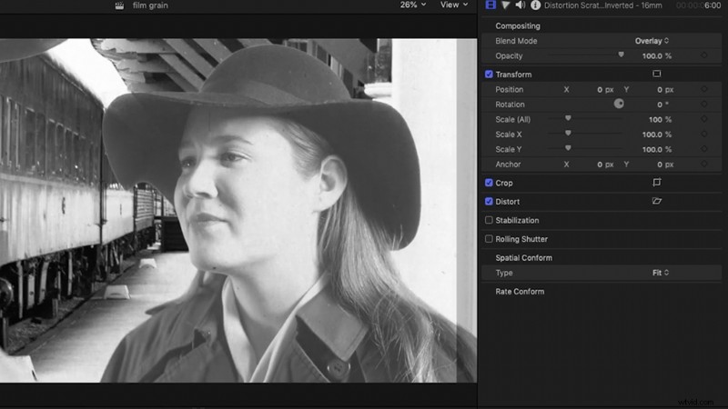 Master Vintage Looks: 5 Free Film Grain Overlays + Tutorials for Premiere Pro, After Effects & Final Cut Pro