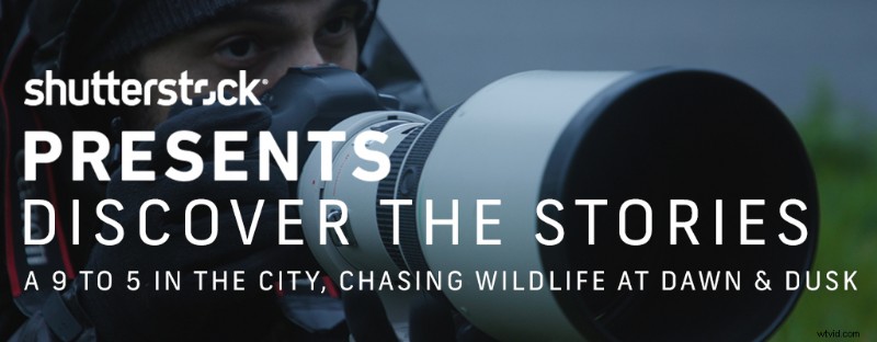 Behind the Lens: Inspiring Creative Stories from Shutterstock Presents Artist Series