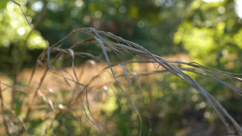 6 Proven Tips to Minimize Visible Video Compression Artifacts in Uploads