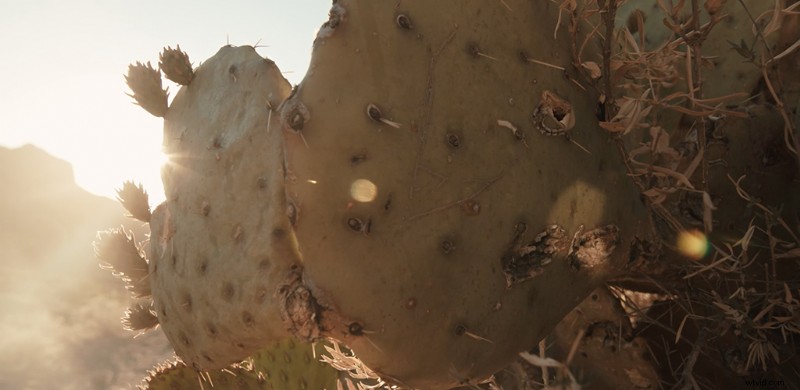 Pro Tips: Shooting Stunning Documentaries in Remote Locations with Minimal Gear