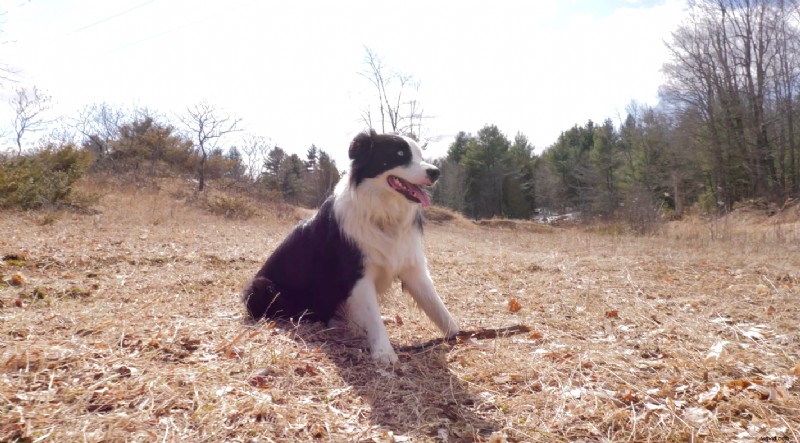 Celebrate Canada Day: 10 Top Canadian Stock Photographers Share Stunning Shots of Home