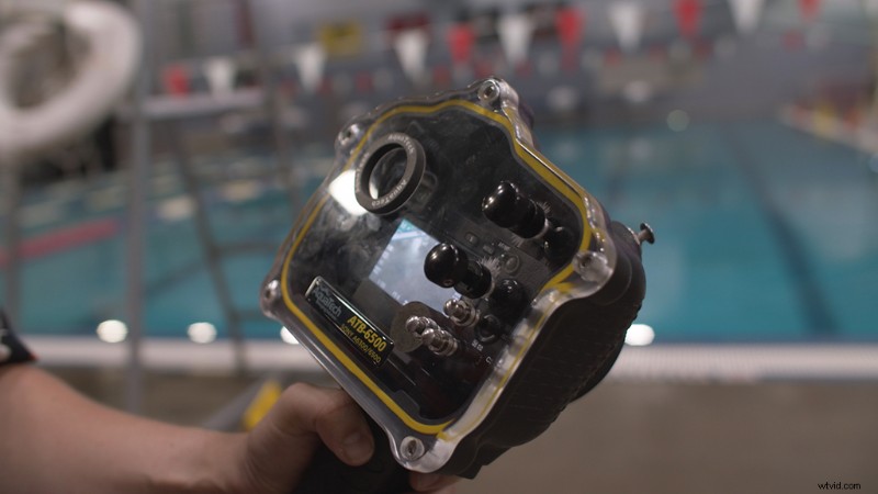 Underwater Photography for Beginners: Essential Lessons from Our First Dive