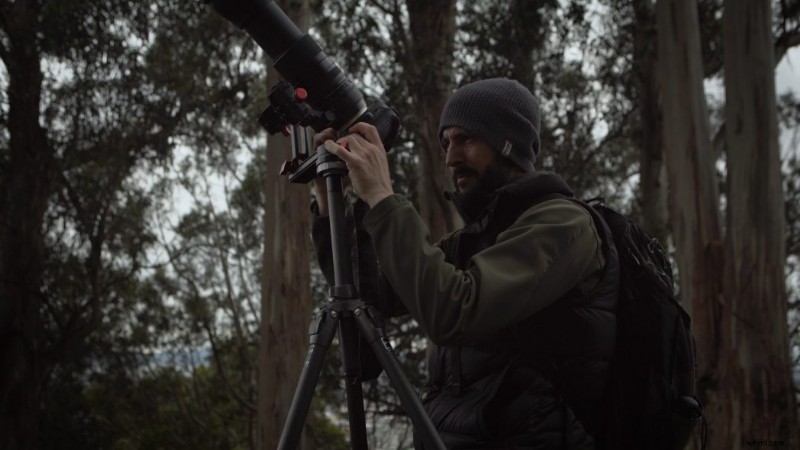 Shutterstock Artist Series: Wildlife Photography Tips from Daniel Nevares