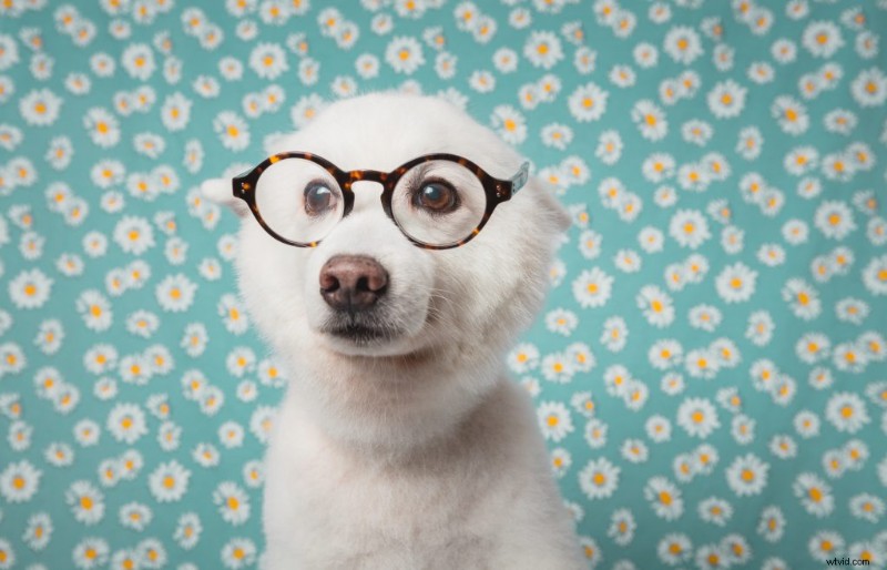 10 Expert Best Practices for Styling Your Photoshoot Solo