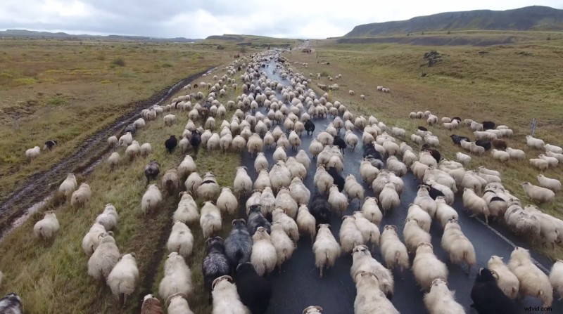 Expert Budget Videography Tips: Create Stunning Stock Footage Affordably